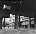 Dept. of Biological Science at the City of London Polytechnic Image preview