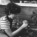 Garden at the Gospel Oak Primary School Image preview