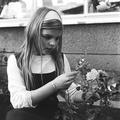 Garden at the Gospel Oak Primary School Image preview