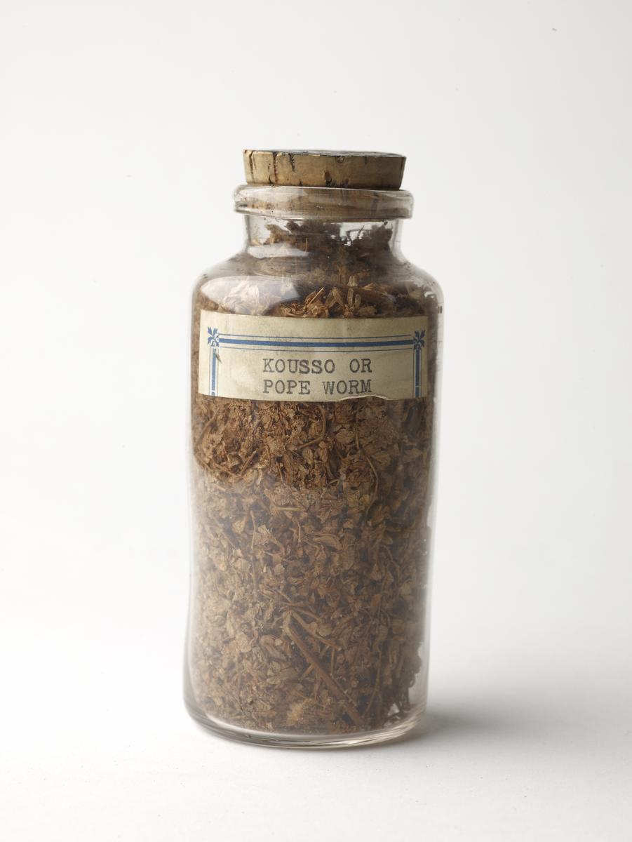 Sample, sample of kousso/pope worm contained in a glass jar | London Museum
