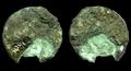 Coin, as?, dupondius? Image preview