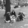 School children picnicing in Embankment Gardens Image preview
