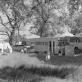 Caravans and owners, Hampstead Heath funfair Image preview