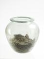 Jar, flat-rimmed jar, cremation urn Image preview