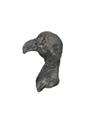 Bird Image preview