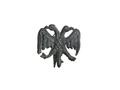 Eagle Image preview