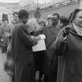 Negative Image preview