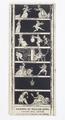 The Queen's Matrimonial Ladder Image preview