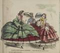 Crinoline : its difficulties and dangers ; a series of twenty illustrations from nature Image preview