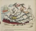 Crinoline : its difficulties and dangers ; a series of twenty illustrations from nature Image preview