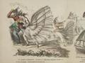 Crinoline : its difficulties and dangers ; a series of twenty illustrations from nature Image preview