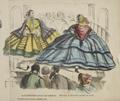 Crinoline : its difficulties and dangers ; a series of twenty illustrations from nature Image preview