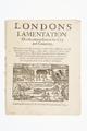 Londons lamentation. Or a fit admonishment for city and countrey Image preview