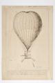 The enterprizing Lunardi's grand air balloon Image preview