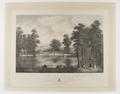 View in St James's Park shewing Rosamond's Pond Image preview