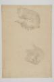 Drawing by Queen Victoria Image preview