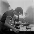 Rosalind Franklin at work in a London laboratory Image preview
