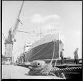 Wood imported from Africa is unloaded at West India Docks Image preview