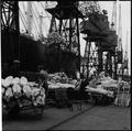 New Zealand lamb unloaded at the Royal Albert Docks Image preview