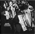 New Year Festival of English Folk Dance and Song, Royal Albert Hall Image preview
