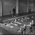 Swimming lessons, Stockwell Manor Comprehensive School Image preview