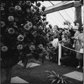 The Chelsea Flower Show Image preview