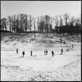 Sledging on Hampstead Heath Image preview