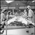 United Biscuits Ltd factory, Isleworth Image preview