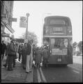 The No 13 bus near Golders Green Image preview
