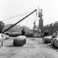 Barrels of wine are unloaded at London Docks Image preview