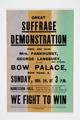 Great Suffrage Demonstration Image preview