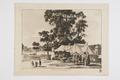 The Filbert Merchant in Hyde Park 1780 Image preview