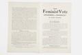 The Feminist Vote: Enfranchised or Emancipated? Image preview