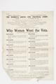Why Women Want the Vote Image preview