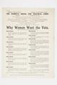 Why Women Want the Vote Image preview