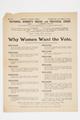 Why Women Want the Vote Image preview