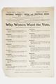 Why Women Want the Vote Image preview