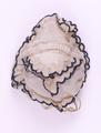 Doll's clothes, doll's bonnet Image preview