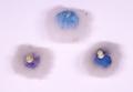 Doll's accessories, doll's powder puff Image preview