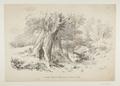 Print, lithograph Image preview