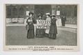 City Bye-election, 1906 Image preview