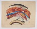 Anamorphosis print Image preview