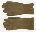 Glove Image preview