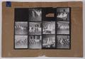 Avondale Image preview