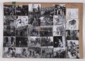 Photograph, contact sheet Image preview