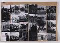 Photograph, contact sheet Image preview