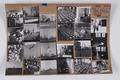 Hertford Grammar School, Parliment Hill Comprehensive School Image preview