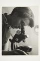 Photograph, gelatin silver print Image preview
