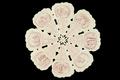 The Rose Almanack Image preview