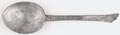 Trefid or split end spoon Image preview